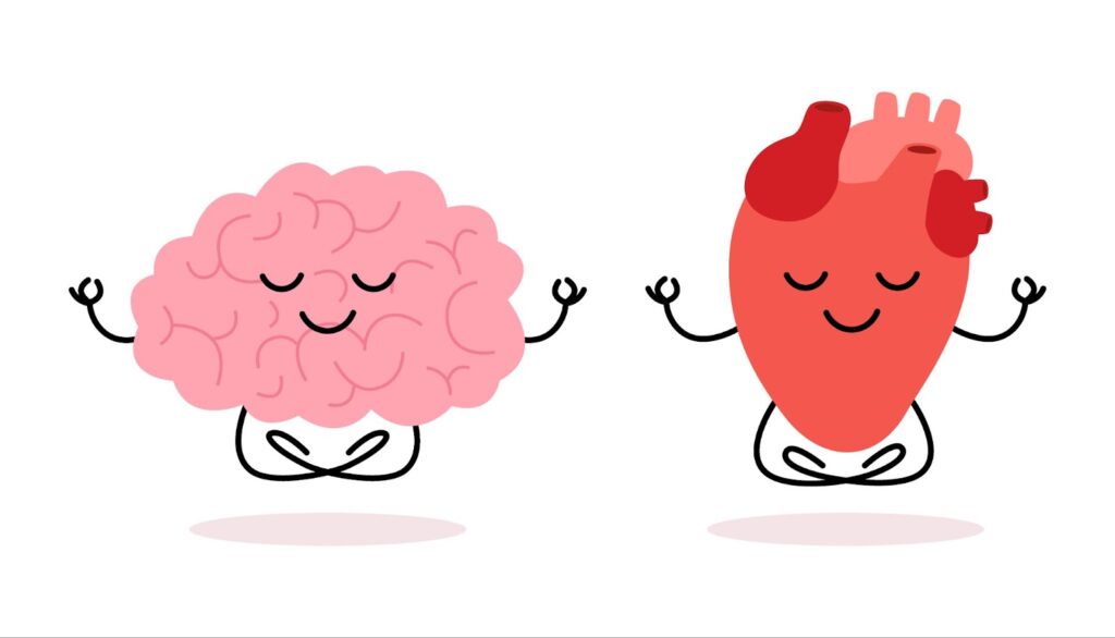 heart brain connection